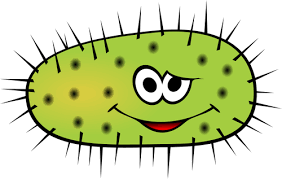 Green bacteria